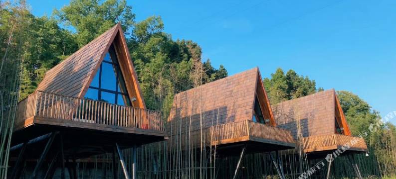 婺源树小蛙度假酒店图片