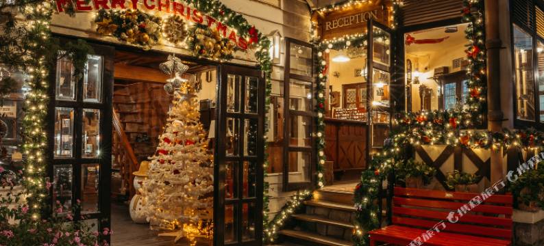 沙非大叻酒店(Saphir Dalat Hotel)图片