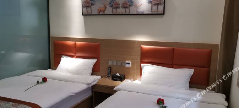 资溪好运主题酒店图片