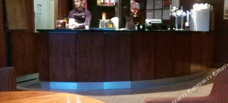 斯蒂文尼奇中心普瑞米尔酒店(Premier Inn Stevenage Central)图片