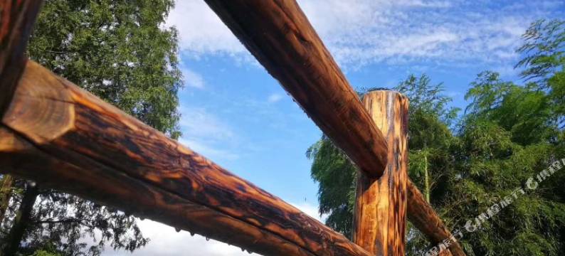 安吉静爽农家乐图片