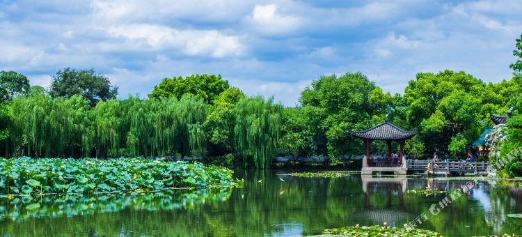 杭州维景国际大酒店图片