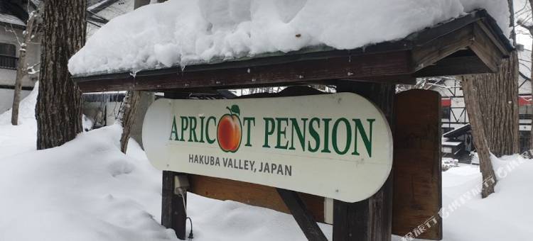 杏子酒店(Apricot Pension)图片