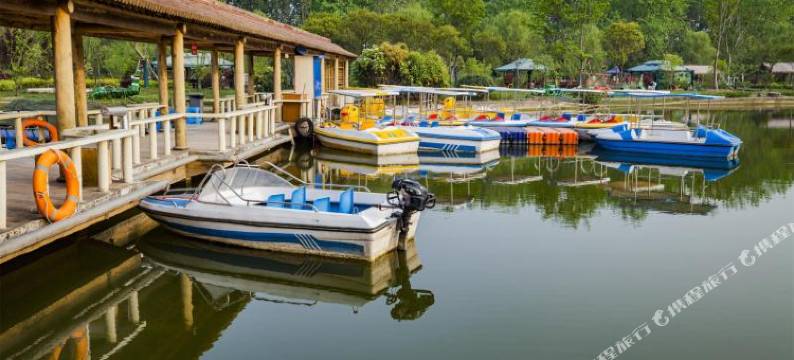 途居南通开沙岛露营地图片