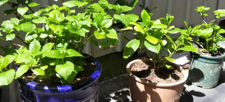 开蔓酒店(宜昌CBD购物中心解放路步行街店)图片