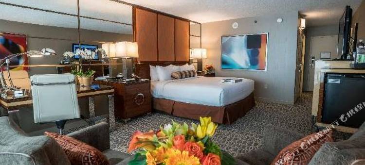 美高梅大酒店(MGM Grand Hotel and Casino)图片