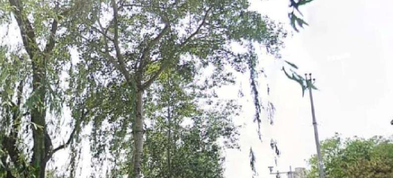 北京小巩家庭旅馆图片