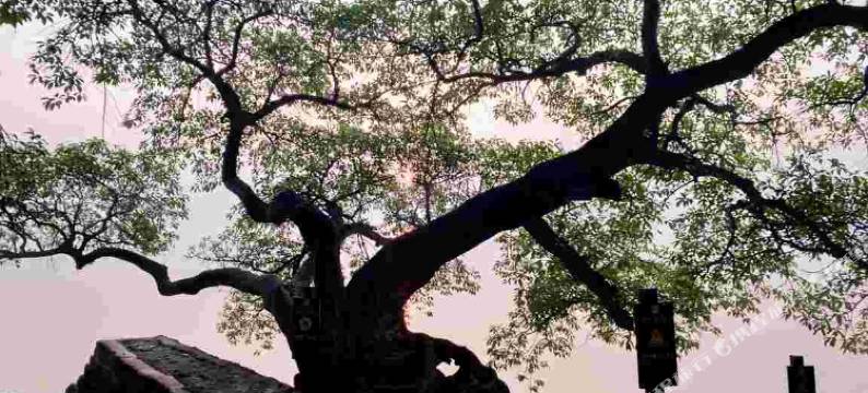 抚仙湖得月楼酒店(禄充风景区店)图片