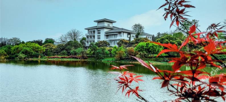 南宁荔园山庄图片