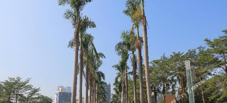 艺选酒店(广州番禺石岗步行街店)图片