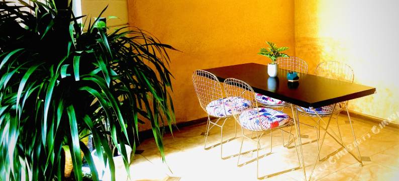 迪曼花园酒店(重庆江北国际机场店)图片