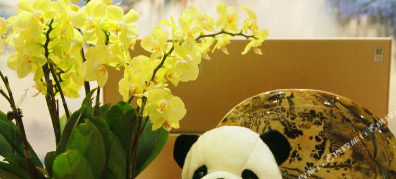 成都蓝城悦杏温泉美食酒店(宽窄巷子奎星楼店)图片