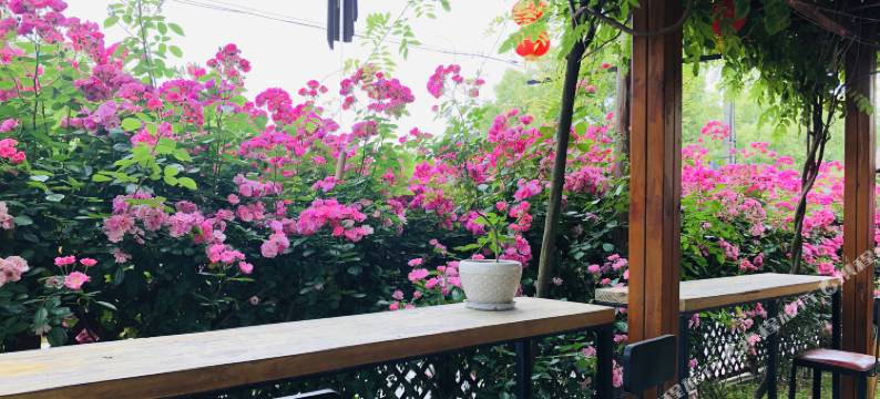 无锡栖湖畔客栈图片