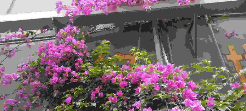 成都红楼住宿图片