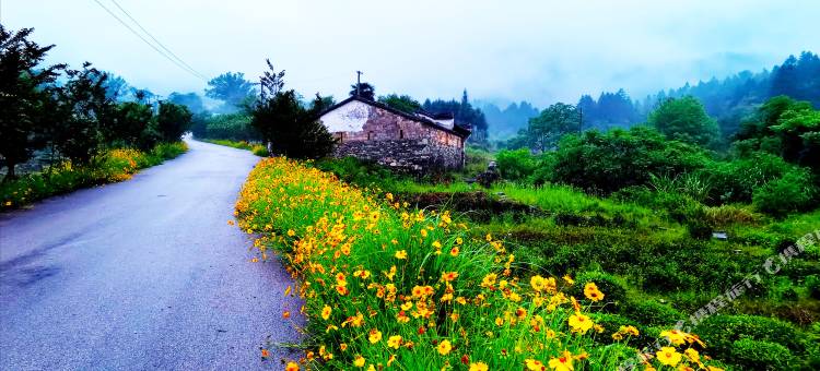 婺源雨林山居民宿图片