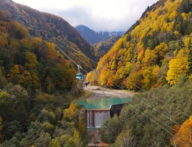 周年推廣 北海道~道東 秋色探索7天名湯之旅 *每位勁減-$2000 憑推廣碼【RA855】* 全日本最早紅葉~黑岳重本包乘空中纜車、能取湖紅色珊瑚草、賞紅葉(層雲峽、知床半島、屈斜路湖、阿寒湖) 周年推廣 北海道~道東 秋色探索7天名湯之旅 *每位勁減-$2000 憑推廣碼【RA855】* 全日本最早紅葉~黑岳重本包乘空中纜車、能取湖紅色珊瑚草、賞紅葉(層雲峽、知床半島、屈斜路湖、阿寒湖)