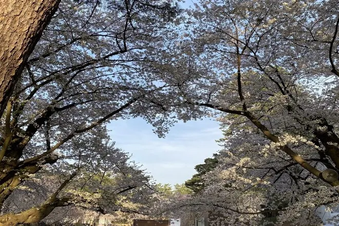 青森縣弘前城