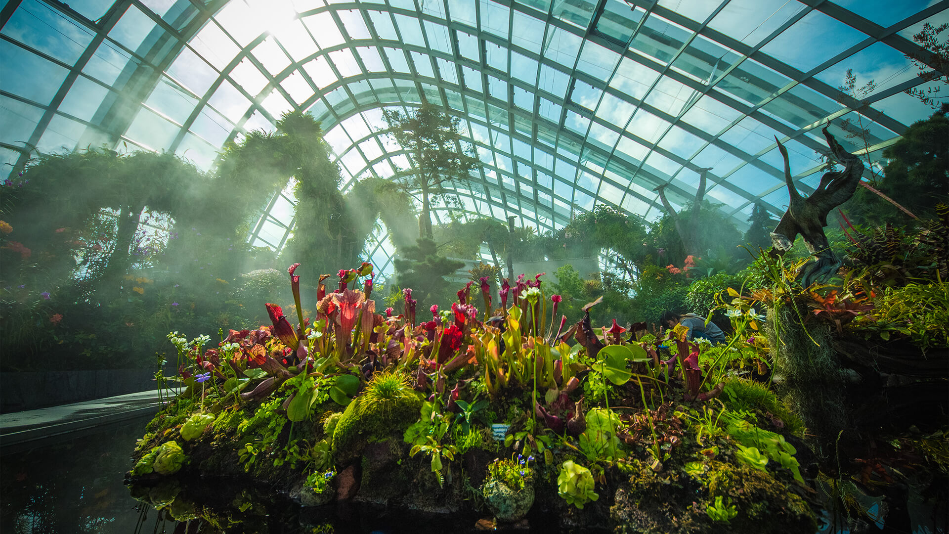 Gardens by the Bay濱海灣花園~ Cloud Forest