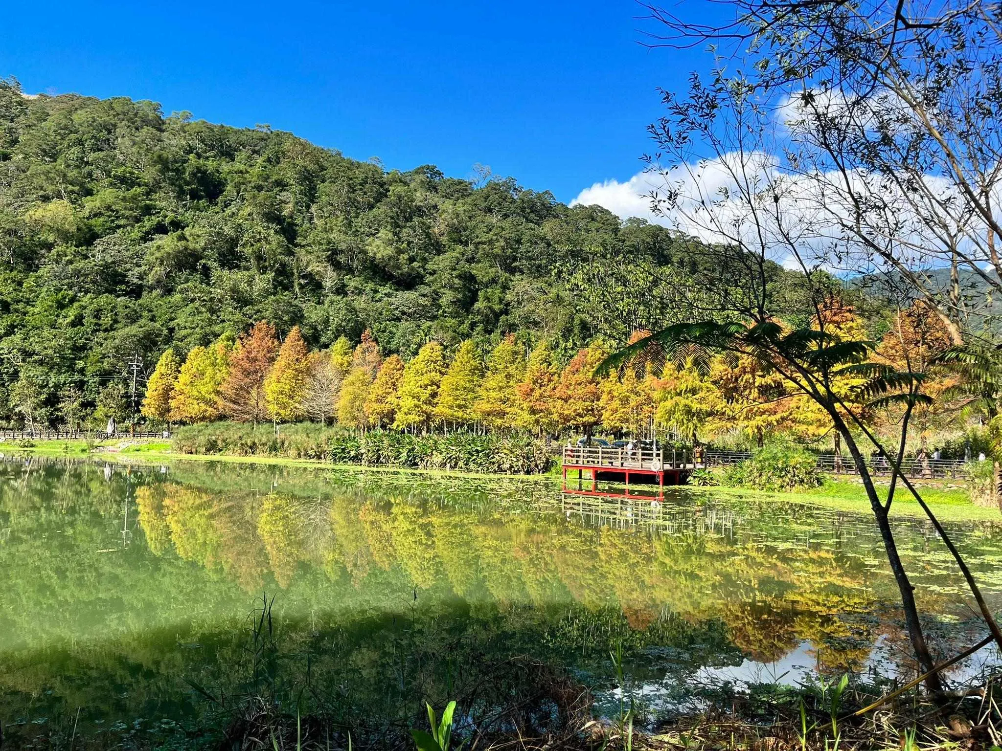 周年推廣 提升寒沐溫泉酒店# 台北+宜蘭玩樂體驗4天團|每位減-$200 憑推廣碼【RA648】|【保證宜蘭溫泉酒店/5星寒沐酒店#】幾米廣場、溪和水產 、深坑老街、饒河街夜市、士林官邸花園、四四南村 周年推廣 提升寒沐溫泉酒店# 台北+宜蘭玩樂體驗4天團|每位減-$200 憑推廣碼【RA648】|【保證宜蘭溫泉酒店/5星寒沐酒店#】幾米廣場、溪和水產 、深坑老街、饒河街夜市、士林官邸花園、四四南村