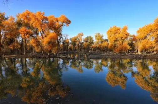 【4鑽】南疆胡楊林季🍂~羅布人村寨賞胡楊、紅海胡楊林公園、庫爾勒、庫車、阿克蘇、喀什~ 卡拉庫里湖、喀什古城、香妃墓、中國最大的清真寺~艾提尕爾清真寺、庫車~溫宿大峽谷8天深度之旅 【4鑽】南疆胡楊林季🍂~羅布人村寨賞胡楊、紅海胡楊林公園、庫爾勒、庫車、阿克蘇、喀什~ 卡拉庫里湖、喀什古城、香妃墓、中國最大的清真寺~艾提尕爾清真寺、庫車~溫宿大峽谷8天深度之旅