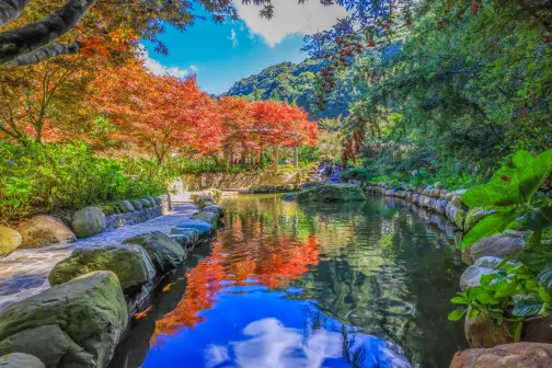台北+杉林溪+台中 5天賞花之旅|南投(杉林溪森林生態渡假園區)、台中(中社觀光花市花海)、苗栗、台北(RAIL BIKE深澳鐵道自行車體) 台北+杉林溪+台中 5天賞花之旅|南投(杉林溪森林生態渡假園區)、台中(中社觀光花市花海)、苗栗、台北(RAIL BIKE深澳鐵道自行車體)