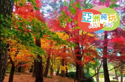 【5鑽】釜山深度秋楓6天尋味之旅 ※大韓航空商務客位來回 ※韓食最強攻略 ※純玩團*不設指定購物點 ※金剛公園+纜車、華明樹木園、金井山梵魚寺、大渚生態公園、龍頭山公園 ※對馬島一天遊 【5鑽】釜山深度秋楓6天尋味之旅 ※大韓航空商務客位來回 ※韓食最強攻略 ※純玩團*不設指定購物點 ※金剛公園+纜車、華明樹木園、金井山梵魚寺、大渚生態公園、龍頭山公園 ※對馬島一天遊