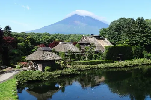 【3鑽】東京、河口湖、輕井澤 6天之旅*憑推廣碼【DA768】每位勁減$500 忍野八海、富士河口湖庭園~光和雲富士山展望台、(山中湖花之都公園~清流之里/河口湖薰衣草祭) 【3鑽】東京、河口湖、輕井澤 6天之旅*憑推廣碼【DA768】每位勁減$500 忍野八海、富士河口湖庭園~光和雲富士山展望台、(山中湖花之都公園~清流之里/河口湖薰衣草祭)