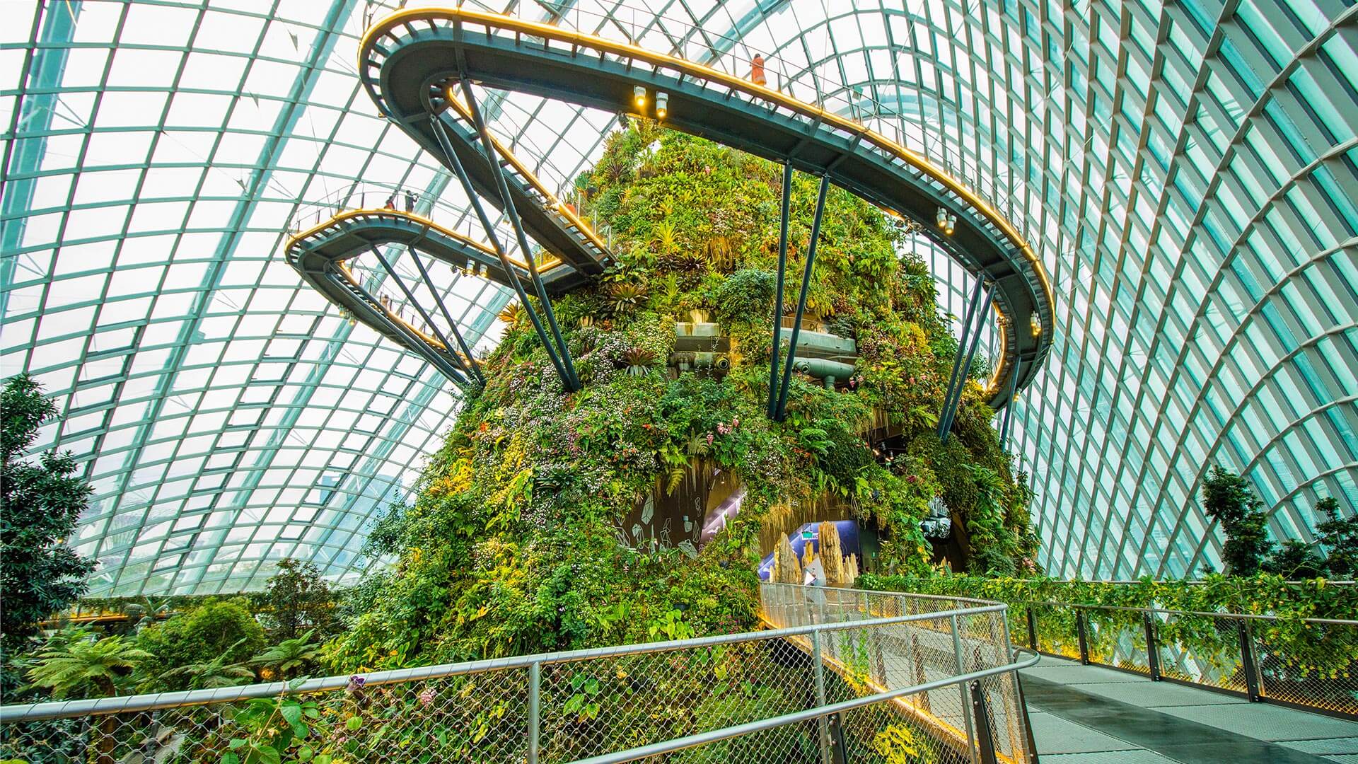 Gardens by the Bay濱海灣花園~ Cloud Forest