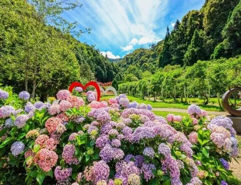 【3鑽】台北+杉林溪+台中 5天賞花之旅 南投(杉林溪森林生態渡假園區)、台中(中社觀光花市花海)、苗栗、台北(RAIL BIKE深澳鐵道自行車體) 銀聯推廣碼【UPA200】每位勁減$200 【3鑽】台北+杉林溪+台中 5天賞花之旅 南投(杉林溪森林生態渡假園區)、台中(中社觀光花市花海)、苗栗、台北(RAIL BIKE深澳鐵道自行車體) 銀聯推廣碼【UPA200】每位勁減$200