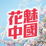 中國長線主題2