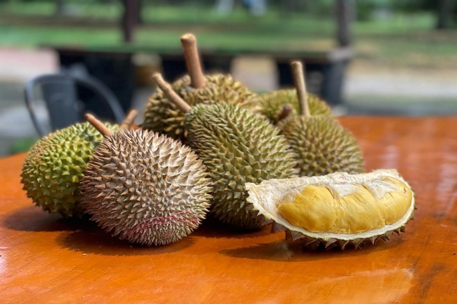 榴槤任食