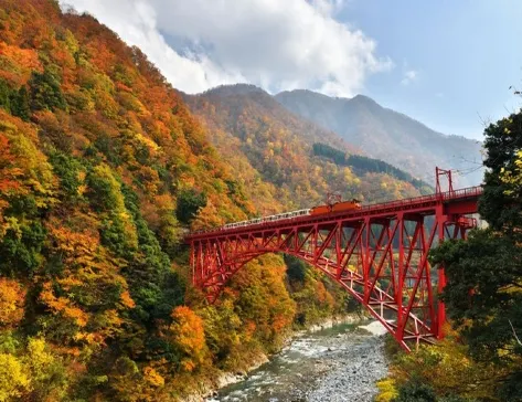 秋の立山黑部、黑部峽谷、上高地5天鐵道絕景之旅 *憑推廣碼【DA614】每位勁減-$1000*立山黑部、上高地、黑部峽谷、日本第一V字峽谷紅葉觀光小火車、白川鄉合掌村、平湯瀑布 秋の立山黑部、黑部峽谷、上高地5天鐵道絕景之旅 *憑推廣碼【DA614】每位勁減-$1000*立山黑部、上高地、黑部峽谷、日本第一V字峽谷紅葉觀光小火車、白川鄉合掌村、平湯瀑布