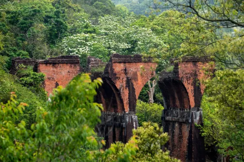 【3鑽】台中+南投+苗栗 舊山線Rail Bike 美景7天團|IG打卡熱點 0高美濕地 -日月潭國家風景區(包遊湖船)-杉林溪 (包乘坐遊園車前往「松瀧部落」) 【3鑽】台中+南投+苗栗 舊山線Rail Bike 美景7天團|IG打卡熱點 0高美濕地 -日月潭國家風景區(包遊湖船)-杉林溪 (包乘坐遊園車前往「松瀧部落」)