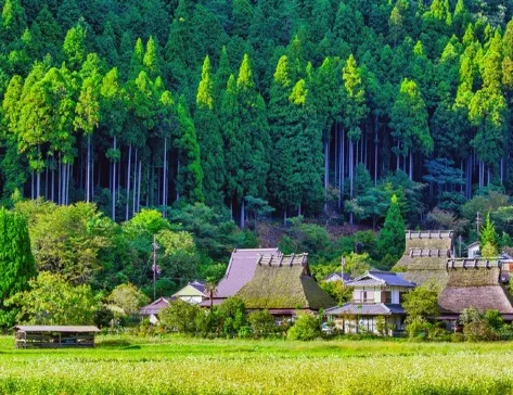 【大激安】京阪神 古風美景6天仲夏之旅 *憑推廣碼【DA614】每位勁減-$1000*【保證入住1晚《國際品牌》琵琶湖Marriott溫泉酒店+2晚神戶 Portopia/Okura酒店】 【大激安】京阪神 古風美景6天仲夏之旅 *憑推廣碼【DA614】每位勁減-$1000*【保證入住1晚《國際品牌》琵琶湖Marriott溫泉酒店+2晚神戶 Portopia/Okura酒店】