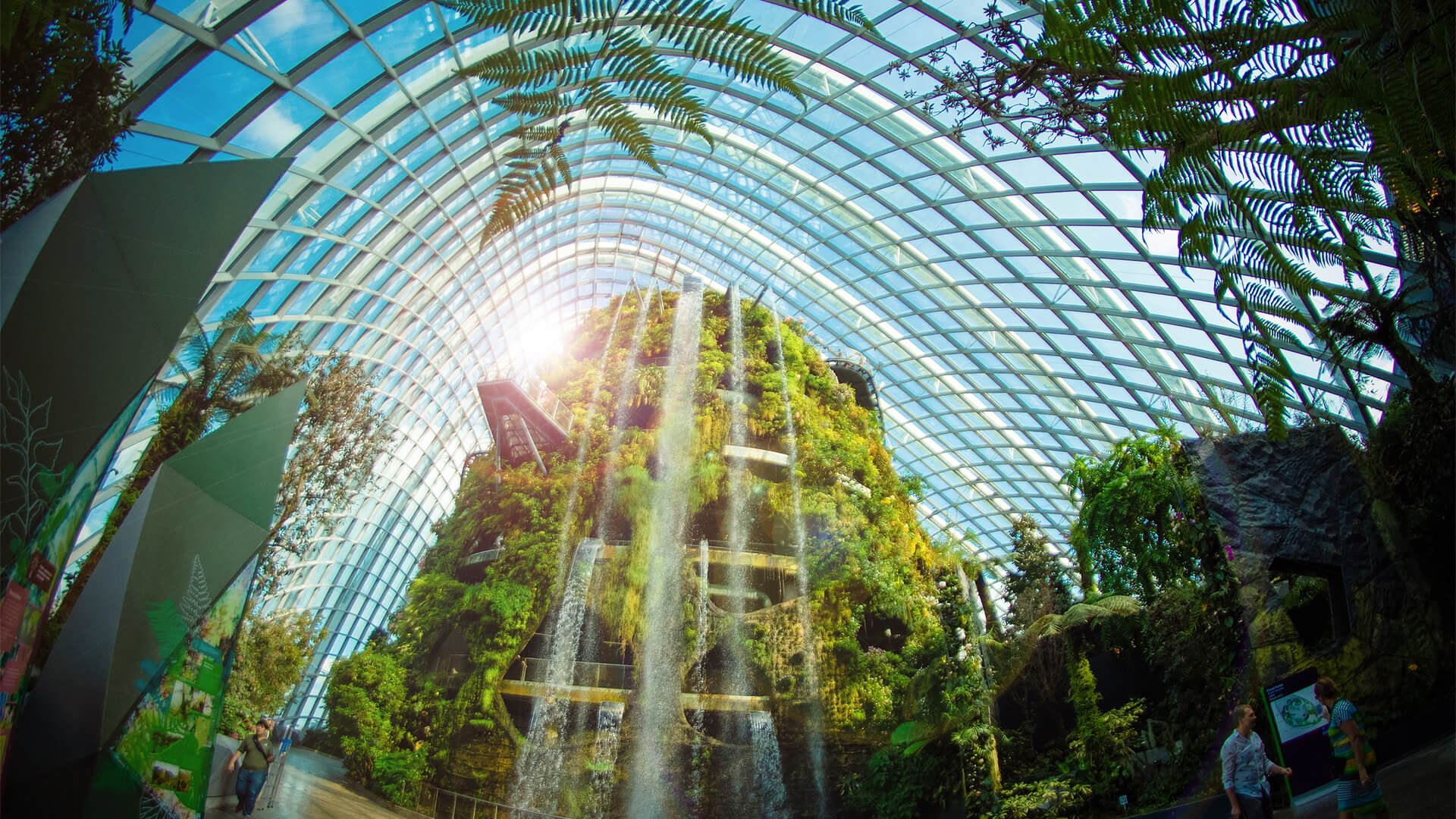 Gardens by the Bay濱海灣花園~ Cloud Forest