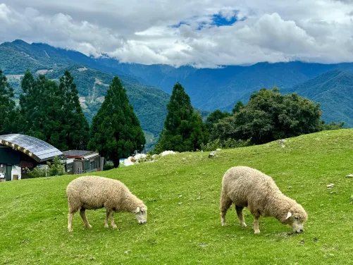 台中+日月潭力麗溫德姆溫泉酒店+清境農場5天之旅|會員憑推廣碼【RA545】每位勁減-$200|小童不佔床勁減$1000|【永安尊享】日月潭保證入住雙池房~盡享溫泉樂及酒店晚餐 台中+日月潭力麗溫德姆溫泉酒店+清境農場5天之旅|會員憑推廣碼【RA545】每位勁減-$200|小童不佔床勁減$1000|【永安尊享】日月潭保證入住雙池房~盡享溫泉樂及酒店晚餐