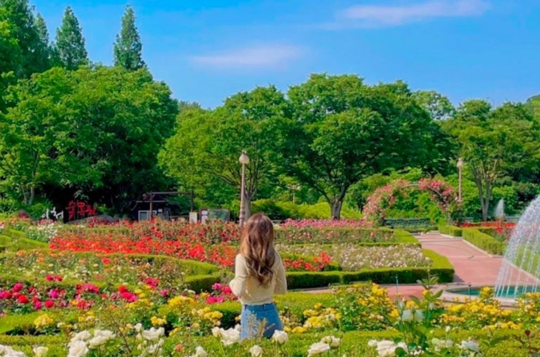 【3鑽】首爾5天玩樂之旅 ※仁川大公園、紺嶽山吊索橋、「DMZ非武裝地帶」臨津閣展望臺+和平Nuri公園+自由橋、汝矣島現代百貨旗艦店、聖水洞咖啡街、沉浸式體驗藝術長廊「極光道」