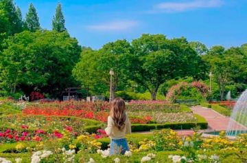 首爾5天玩樂之旅 ※仁川大公園、紺嶽山吊索橋、「DMZ非武裝地帶」臨津閣展望臺+和平Nuri公園+自由橋、汝矣島現代百貨旗艦店、聖水洞咖啡街、沉浸式體驗藝術長廊「極光道」