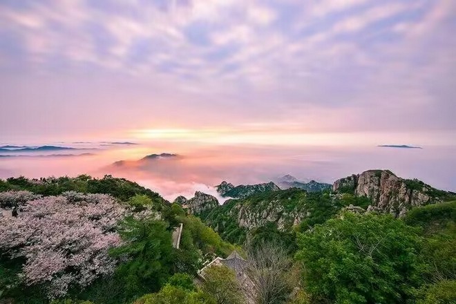 泰山