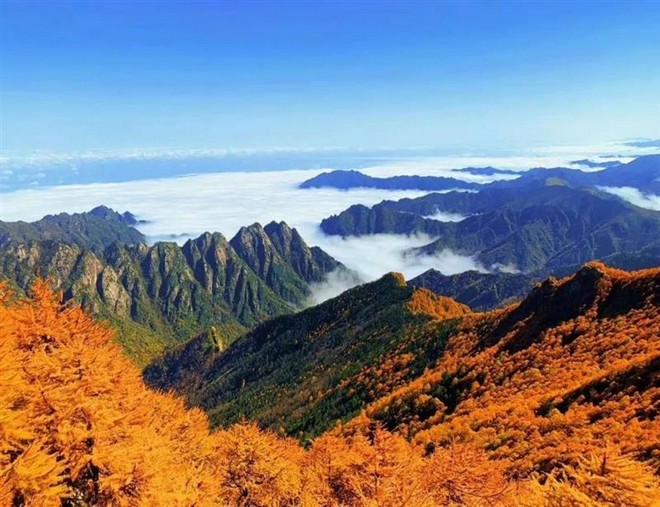 【5鑽】《季節限定》🍁古都西安🍁 金秋美景5天直航團  【秦嶺主峰太白山賞紅葉🍁、慈恩寺遺址公園賞銀杏林🍂、古觀音禪寺賞千年銀杏🍂、漢陽陵博物館賞銀杏林🍂、大明宮國家遺址公園賞粉黛花】