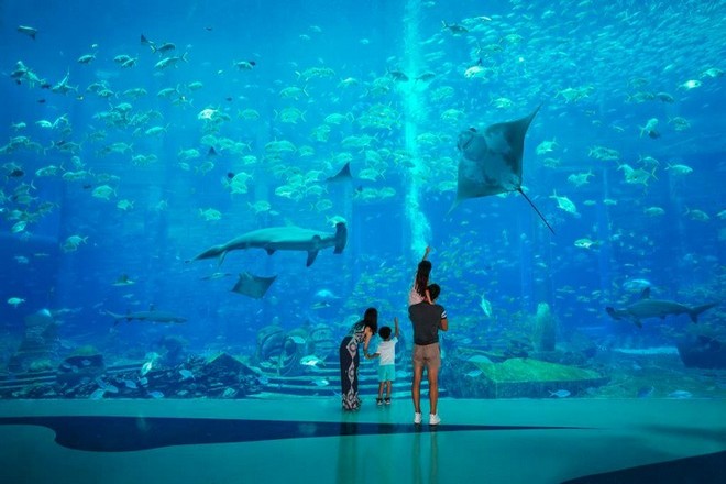水族館
