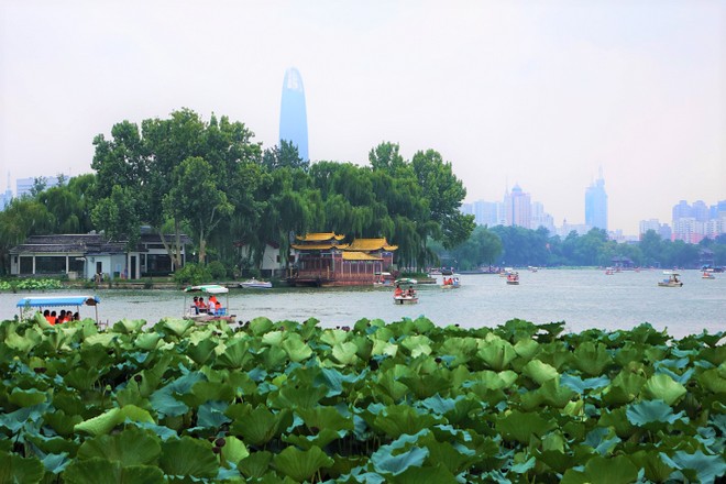 大明湖