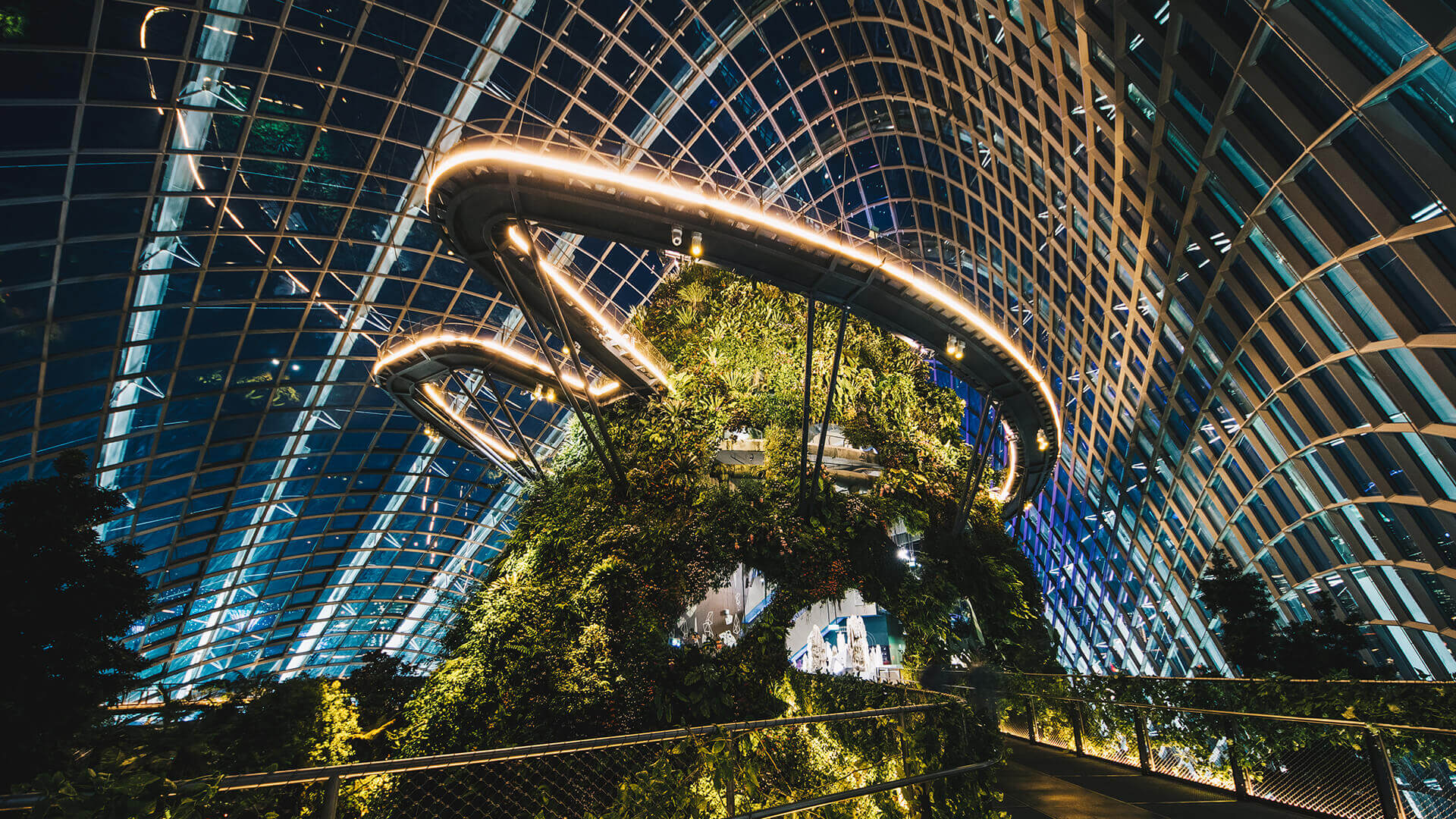 Gardens by the Bay濱海灣花園~ Cloud Forest
