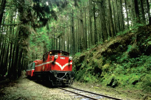 【3鑽】【高雄+阿里山+台北精選5天團】 旗津半島渡輪之旅(包乘搭 渡輪體驗)~ 嘉義-阿里山森林風景區( 乘坐小火車暢遊阿里山) *銀聯推廣碼【UPA200】每位勁減$200 【3鑽】【高雄+阿里山+台北精選5天團】 旗津半島渡輪之旅(包乘搭 渡輪體驗)~ 嘉義-阿里山森林風景區( 乘坐小火車暢遊阿里山) *銀聯推廣碼【UPA200】每位勁減$200