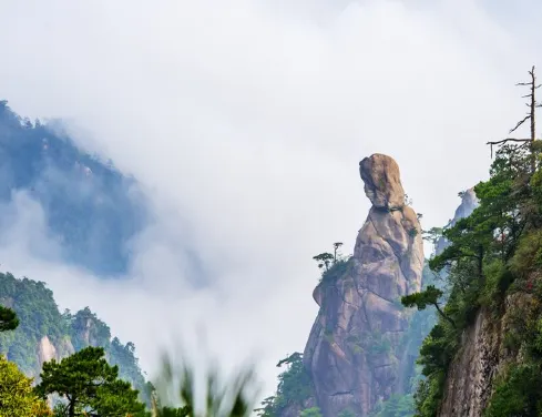【4鑽】江西(南昌、九江、景德鎮、婺源)6天高鐵團 《世界自然遺產》三清山(重本包雙程纜車)、船遊鄱陽湖登蓬萊仙島、東林大佛、婺源篁嶺、《全港獨家:婺女洲+葛仙村》、鳳凰溝、望仙谷 【4鑽】江西(南昌、九江、景德鎮、婺源)6天高鐵團 《世界自然遺產》三清山(重本包雙程纜車)、船遊鄱陽湖登蓬萊仙島、東林大佛、婺源篁嶺、《全港獨家:婺女洲+葛仙村》、鳳凰溝、望仙谷