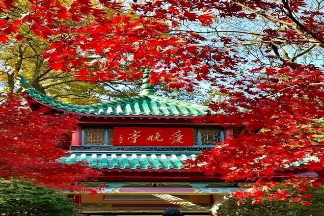 嶽麓山愛晚亭