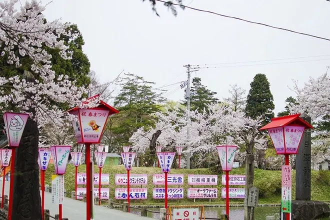 山形縣最上公園吉野
