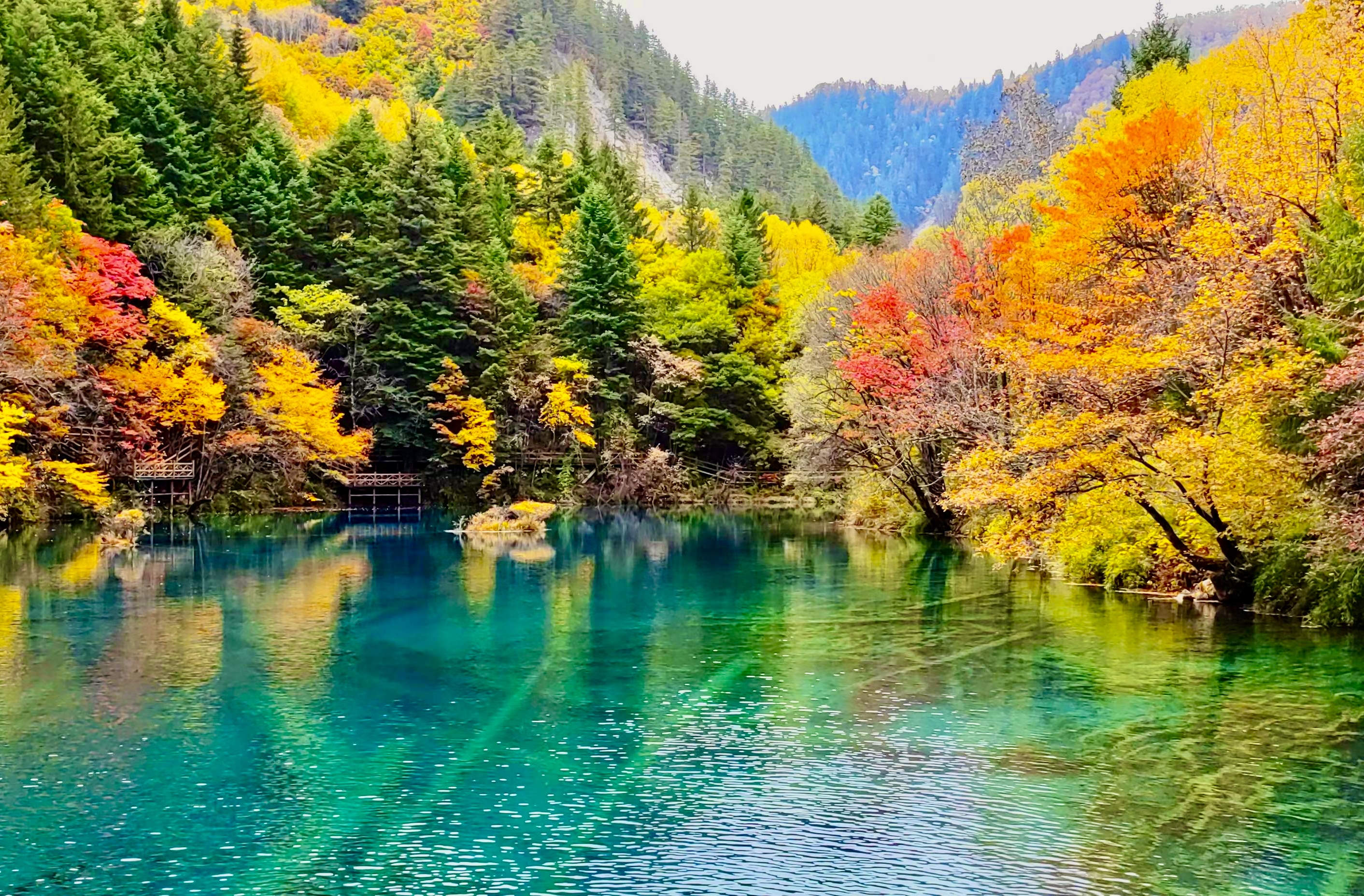 九寨溝五花海秋景