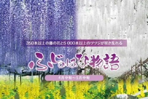 東京、茨城 日立海濱公園浪漫花海 *憑推廣碼【DA768】每位勁減$500 、足利花卉公園花の物語、 白絲瀑布、富士合掌村/河口湖櫻花祭/富士芝櫻祭 6天花見巡禮之旅 東京、茨城 日立海濱公園浪漫花海 *憑推廣碼【DA768】每位勁減$500 、足利花卉公園花の物語、 白絲瀑布、富士合掌村/河口湖櫻花祭/富士芝櫻祭 6天花見巡禮之旅