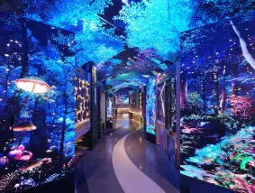 【3鑽】仁川+首爾5天玩樂之旅 ※西大門弘濟瀑布、HYUNDAI+LOTTE Premium Outlets、水原Starfield星空圖書館2.0、沉浸式體驗藝術長廊「極光道」、烏頭山統一展望台